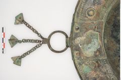 Foto von Bronzebreitrandschale (NHMW-PRAE-025543)